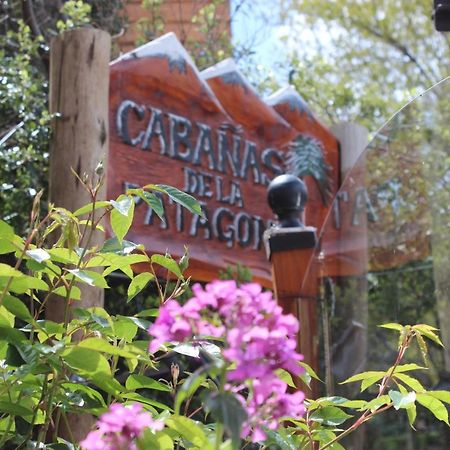 Cabanas De La Patagonia San Martin de los Andes Bagian luar foto