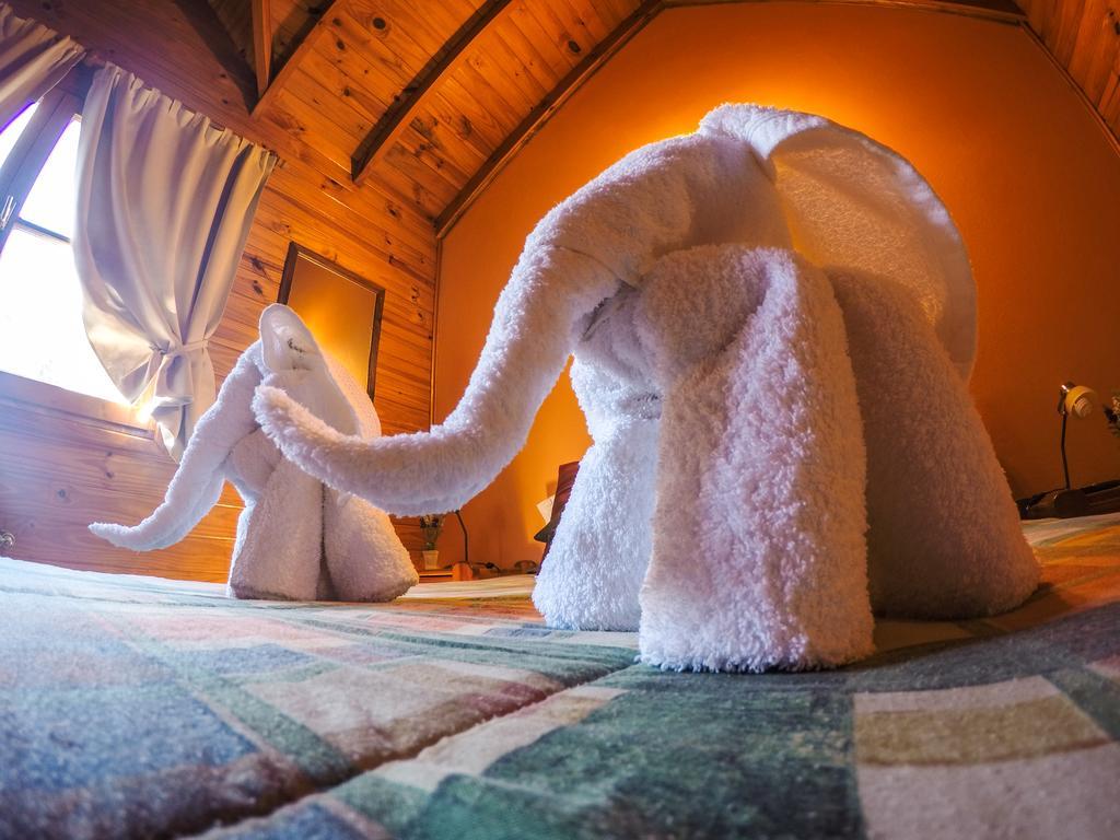 Cabanas De La Patagonia San Martin de los Andes Bagian luar foto